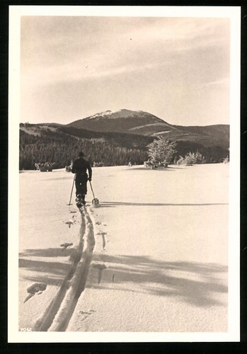 Photographie sports hiver - sports, d'hiver