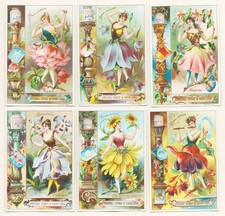 Liebig Cartes À Collectionner