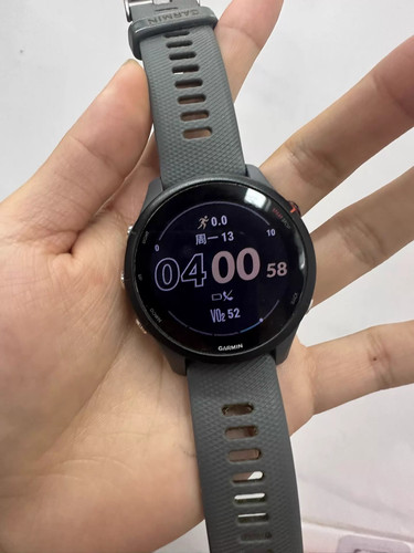 Garmin forerunner 255 slate - 255,