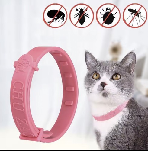 Collier anti puce chien chat - puce,