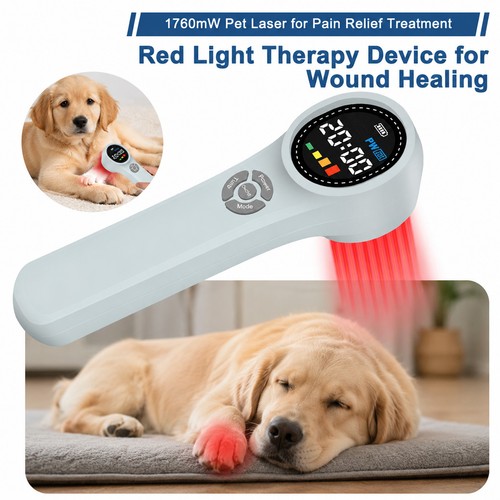 Physiotherapy low level laser - level,