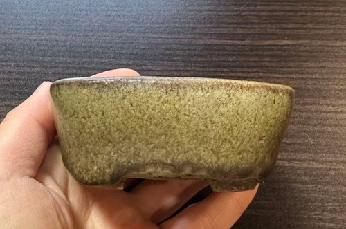 Pot bonsaï japonais - à,