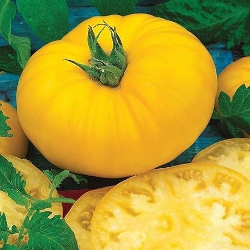 Graines tomate jaune - graines,