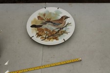 Assiette ancienne porcelaine lazeyras Limoges - deco J.C Van Hunnik geai