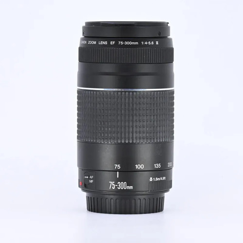 Canon 300mm 5 - f/4-5.6, iii