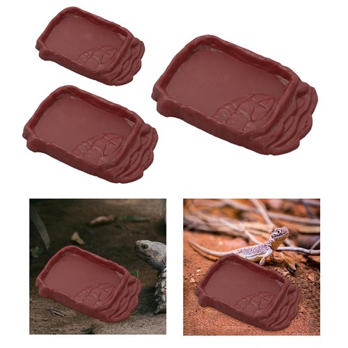 Rampe pour reptiles bol à - rampe, reptiles,