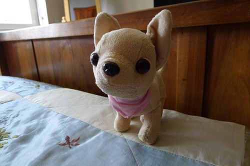 Peluche chiwawa - peluche,