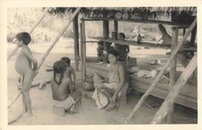 OLD PHOTO 1953 GUIANA HIGH OYAPOCK AMERINDIAN YOUTH GROUPS AND HABITAT