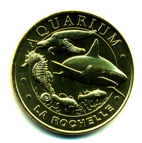 Rochelle aquarium - 17,