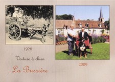 45 THE BUSSIERE DOG CAR