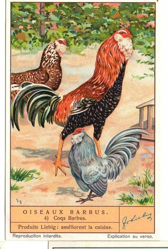S1408 chromo liebig - chromo,