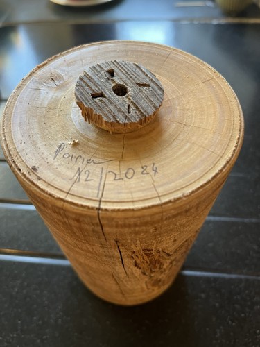 Bois poirier ébénisterie - bois,
