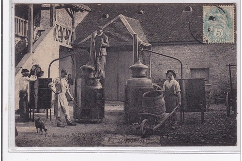 Les vendanges bourgogne - bourgogne,