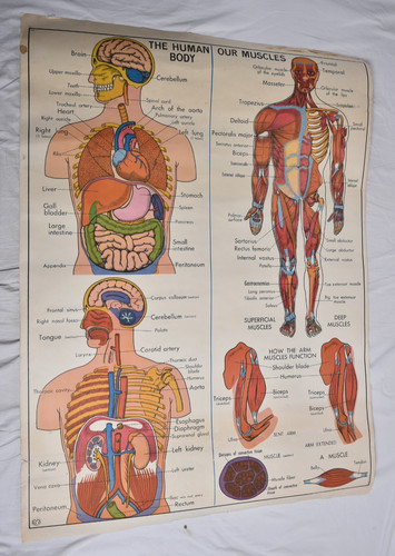 Ancienne carte scolaire mdi - ancienne,