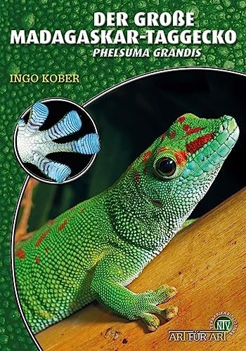 Ingo kober der große - kober,