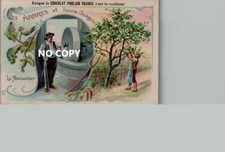 Chromo CHOCOLATE FOAL - Trees and their uses: HAZELNUT