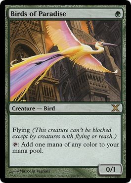 Oiseaux paradis 252 - de,