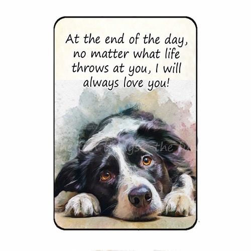 Will always love you border - i,