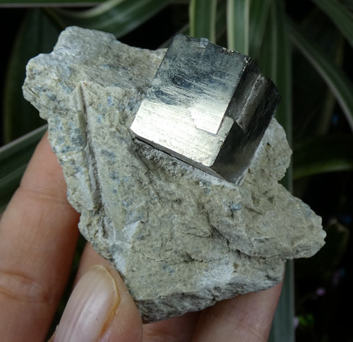 Beau cube pyrite sur - cube,
