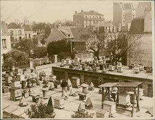 Vincennes, Roof Apiary Vintage Silver Print Silver Print 13x18 