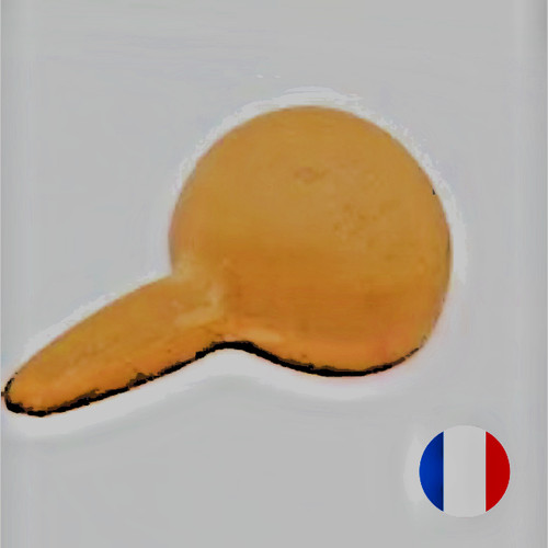 Louche calebasse africaine - louche,