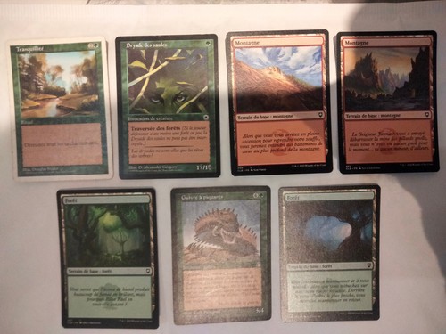 Lot cartes magic the gathering - lot,