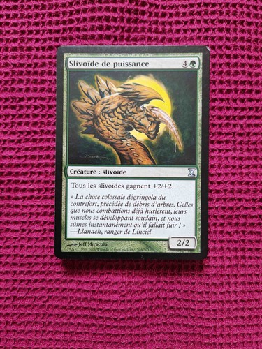 Lot n338 cartes - n338, magic