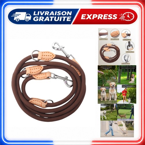 Laisse chien réglable - chien, 2m