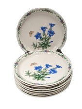 Set Lot 8  Noritake Conservatory 7915 Gala cuisine Bread/Dessert plates 7"