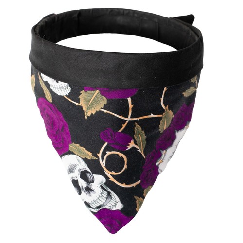Chien bandana col cravate - bandana, jour