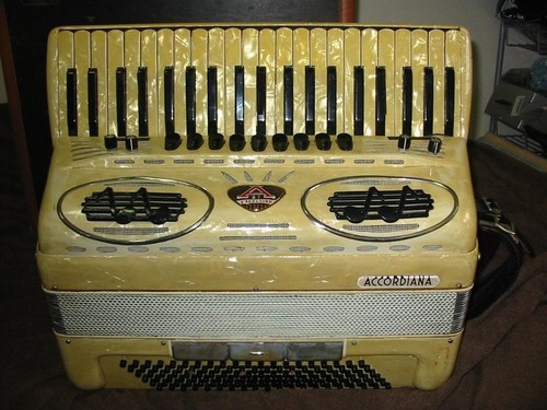 Accordiana excelsior - accordiana, by