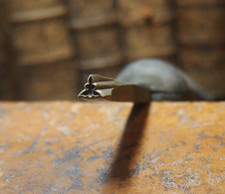 FERS À DORER MORAND  