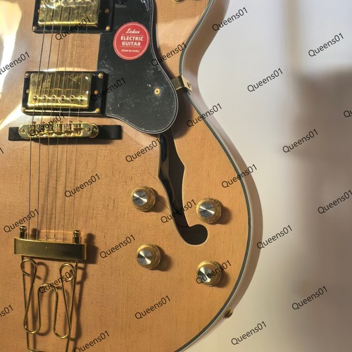 Hollow body byrdland electric - byrdland,