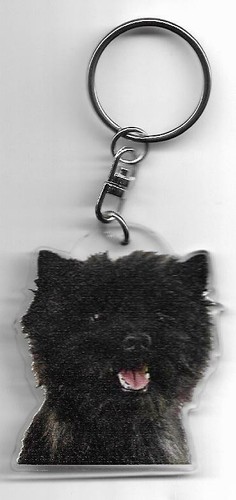 Cairn terrier porte clés - cairn,