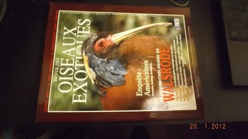 Revue cde oiseaux exotiques - gc,