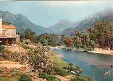 CORSICA PORTO 444 white sandy beach lined with large eucalyptus trees