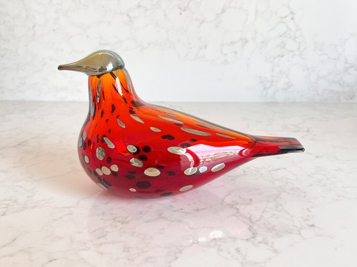 Oiseau rouge gorge - oiseau, rouge-gorge