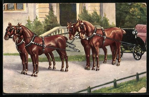Calèche cheval avec - calèche,