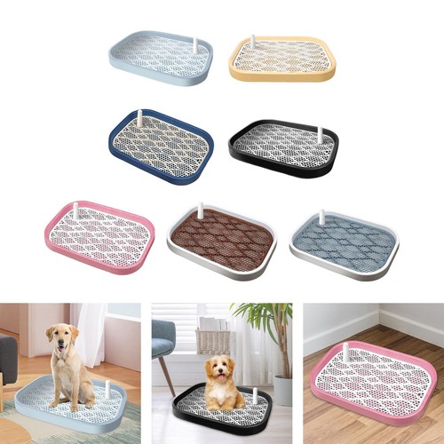 Chien toilette chiot formation
