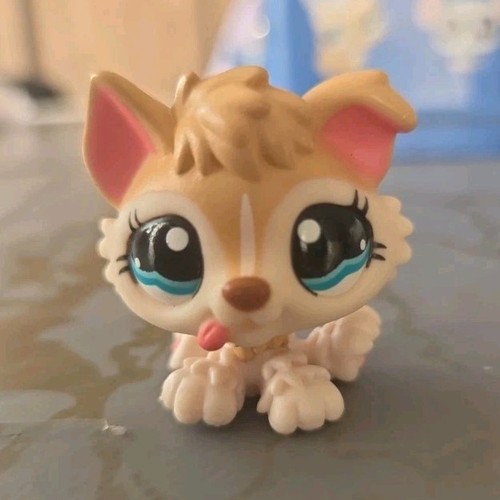 Petshop littlest pet shop - petshop,