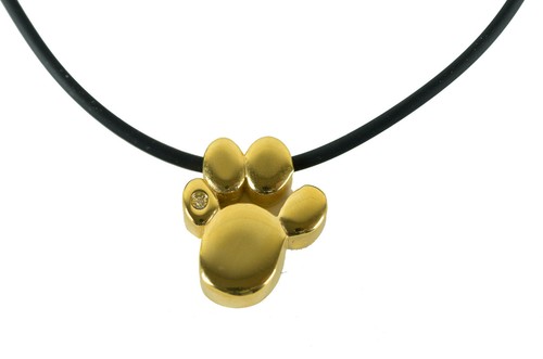 Patte chaîne chien - patte,