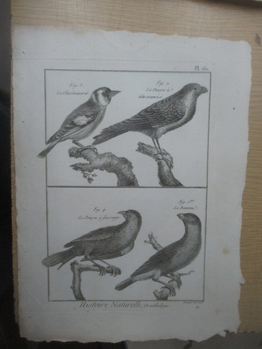 Gravure vers 1780