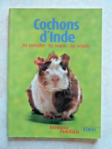 Cochons inde les - cochons, d'inde