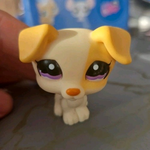 Lps littlest pet shop - pet, figurine