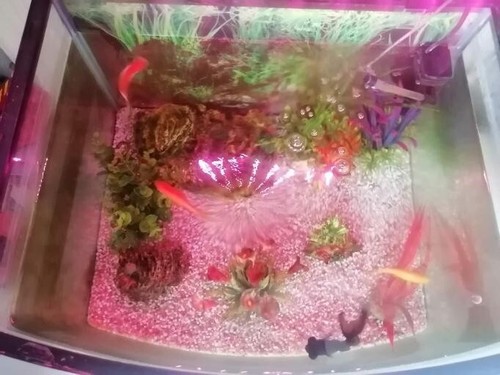 Aquarium litres pack - litres,