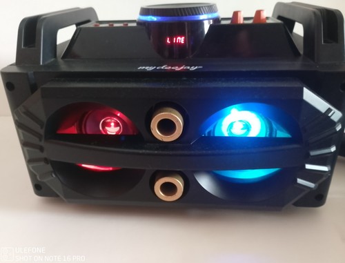 Enceinte bluetooth karaoké