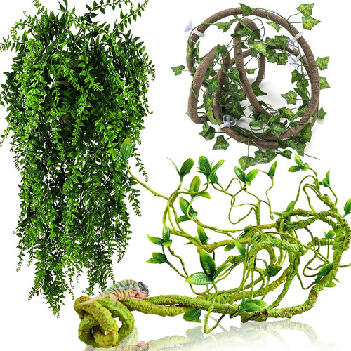 Reptile jungle vines - jungle,