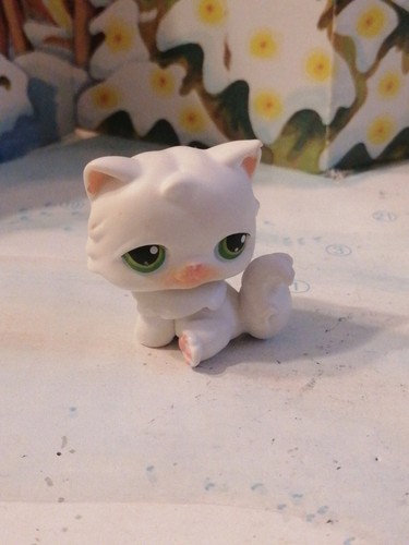 Petshop chat persan 15 - petshop, n°15