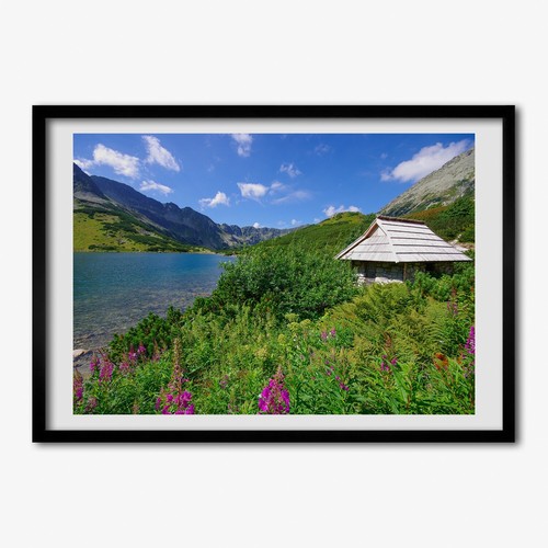 Tulup photo 100x70cm - tulup, décor