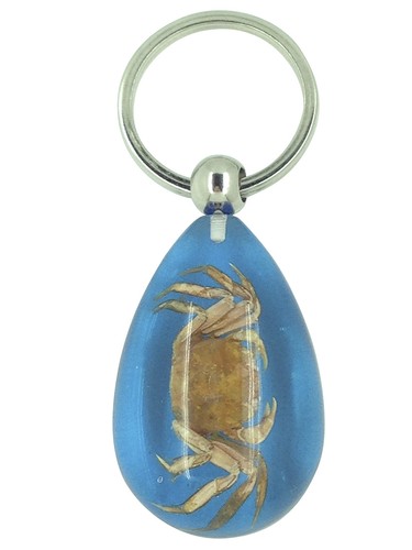 Véritable crabe porte clé - clé, en
